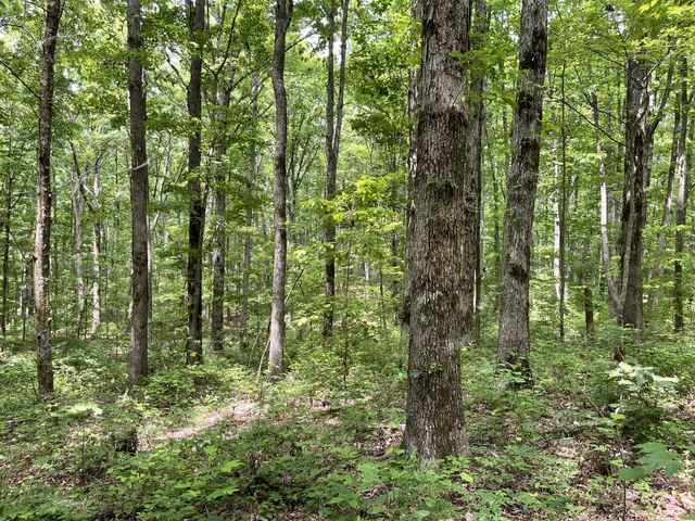 328 James Turner Rd, Tracy City, TN 37387