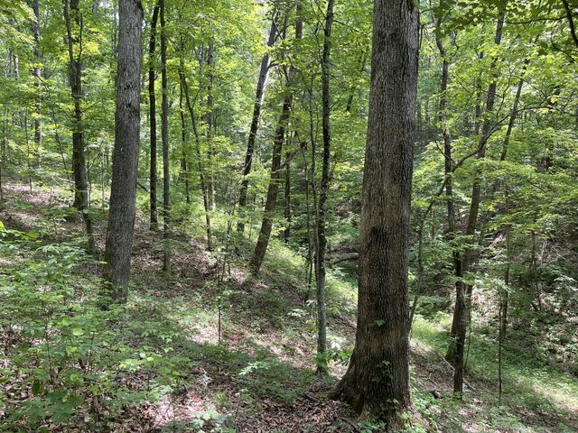 328 James Turner Rd, Tracy City, TN 37387
