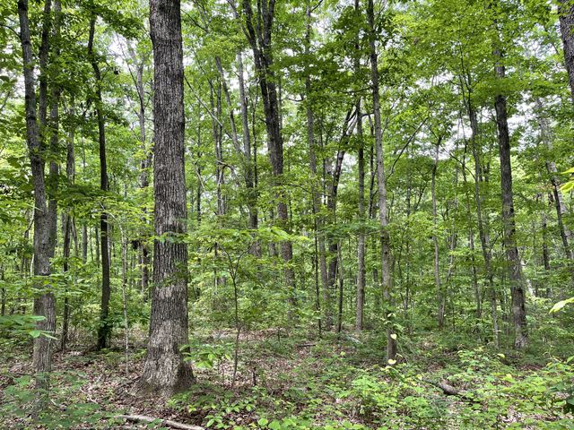 328 James Turner Rd, Tracy City, TN 37387
