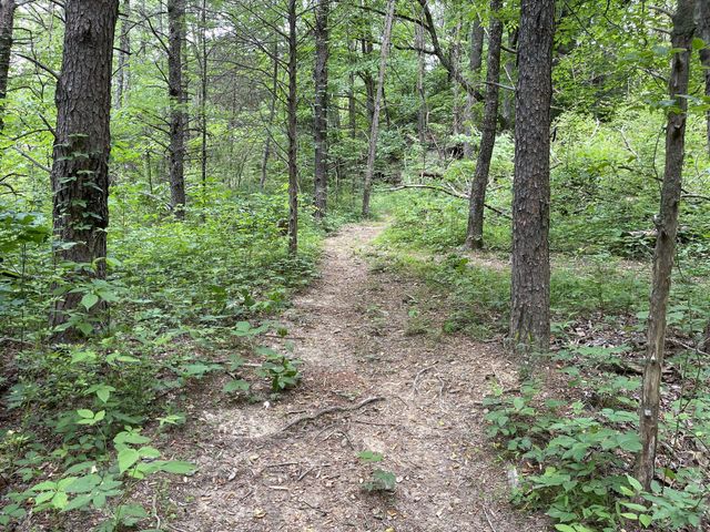 328 James Turner Rd, Tracy City, TN 37387