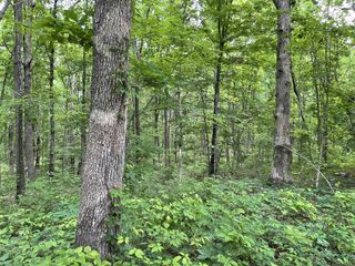 328 James Turner Rd, Tracy City, TN 37387