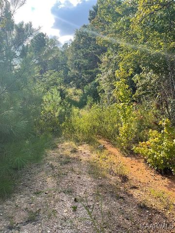 0 Cleghorn Drive, Tallassee, AL 36078