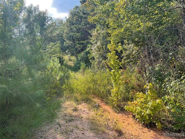 0 Cleghorn Drive, Tallassee, AL 36078