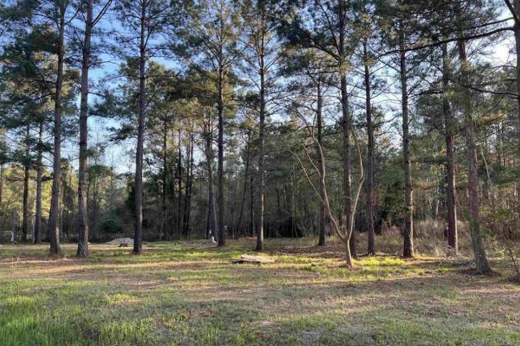 2108 Lees Landing Circle, Conway, SC 29526 — photo 2