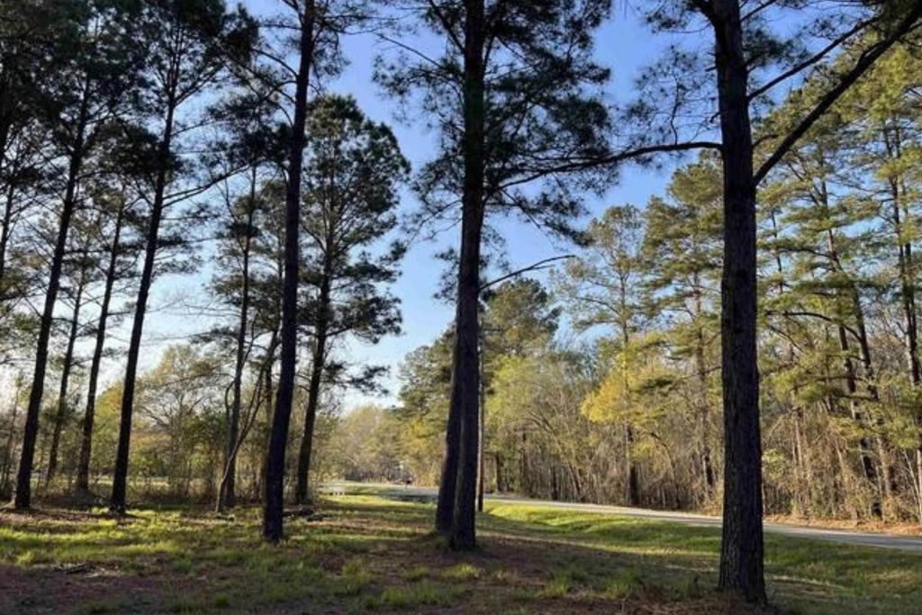 2108 Lees Landing Circle, Conway, SC 29526 — photo 3