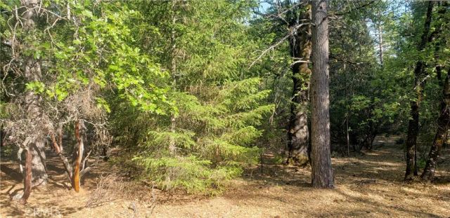 8132 Harrington Flat Road, Kelseyville, CA 95451