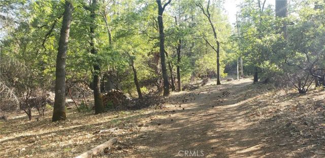 8132 Harrington Flat Road, Kelseyville, CA 95451