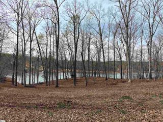 133 Falling Leaf Drive, Townville, SC 29689