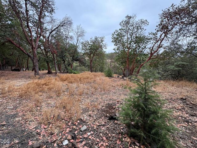 6061 Hillcrest Road, Medford, OR 97504
