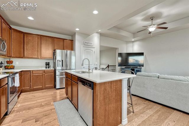 10775 Shavano Peak Court, Peyton, CO 80831