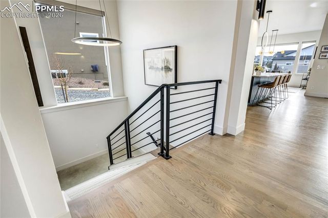 1031 Native Dancer Terrace, Colorado Springs, CO 80921