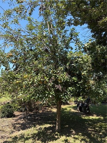 16116 Pin Oak Road, Fayetteville, AR 72704