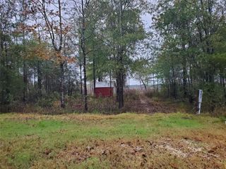 442 Vine Arbor Drive, Livingston, TX 77351