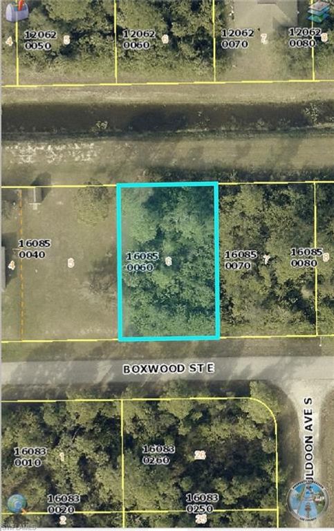 1219 Boxwood ST S, LEHIGH ACRES, FL 33974 — exterior