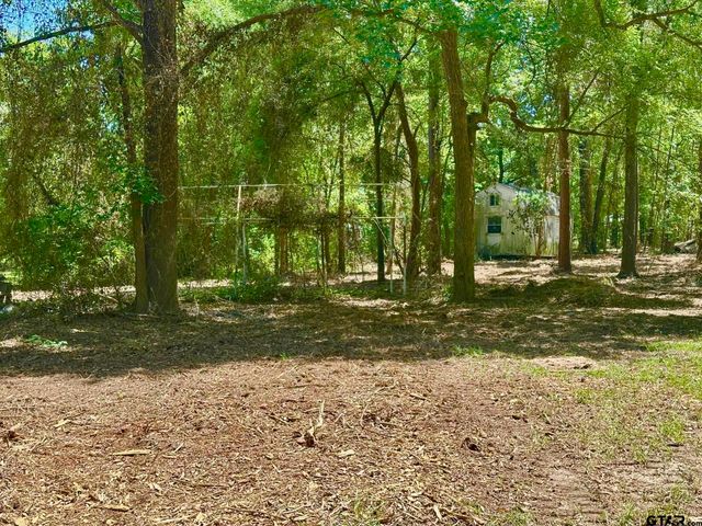 21041 Forest Grove Dr, Chandler, TX 75758