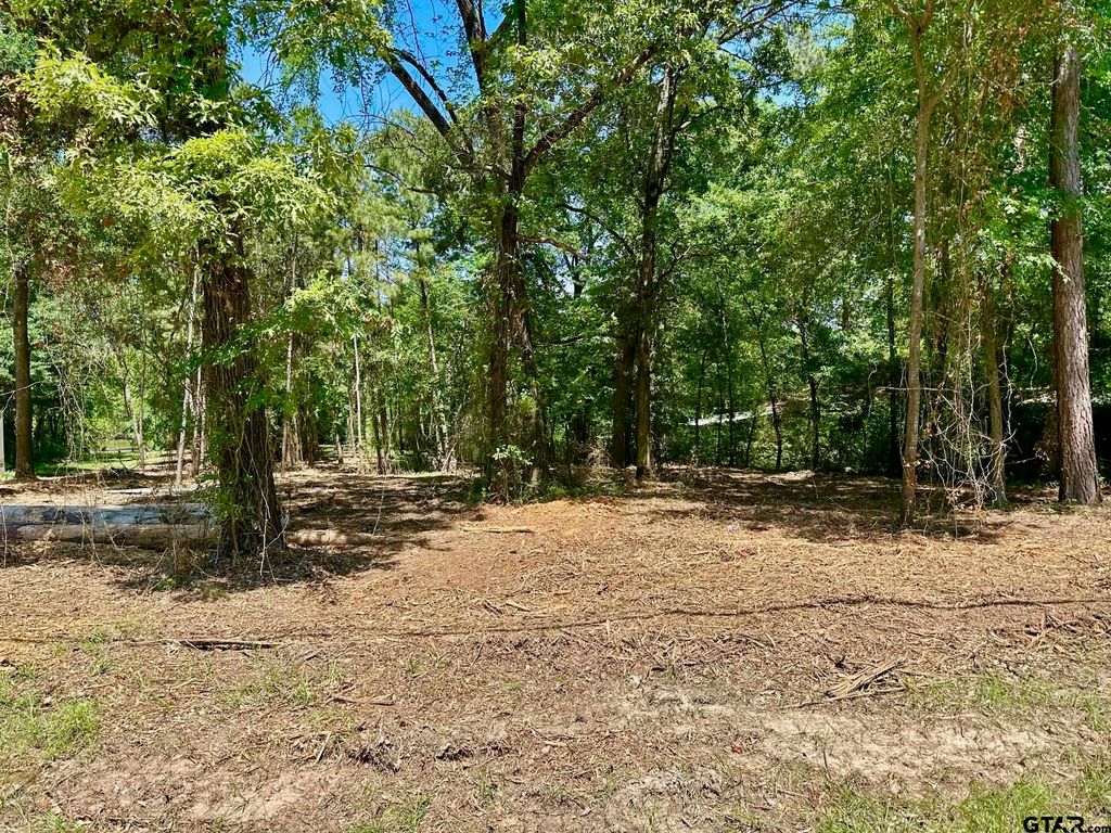 21041 Forest Grove Dr, Chandler, TX 75758