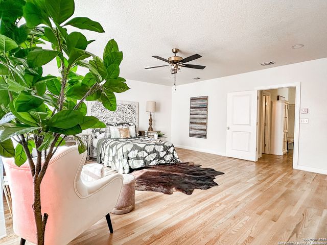 102 Luther, Olmos Park, TX 78212