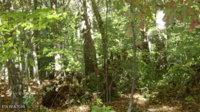 Lot 2 Inland Court, Sparta, TN 38583