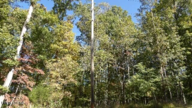 Lot 2 Inland Court, Sparta, TN 38583