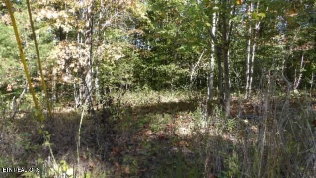 Lot 2 Inland Court, Sparta, TN 38583