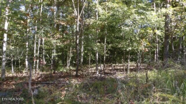 Lot 2 Inland Court, Sparta, TN 38583