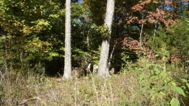 Lot 2 Inland Court, Sparta, TN 38583