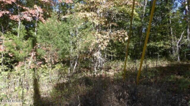 Lot 2 Inland Court, Sparta, TN 38583