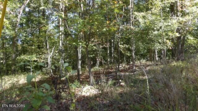 Lot 2 Inland Court, Sparta, TN 38583