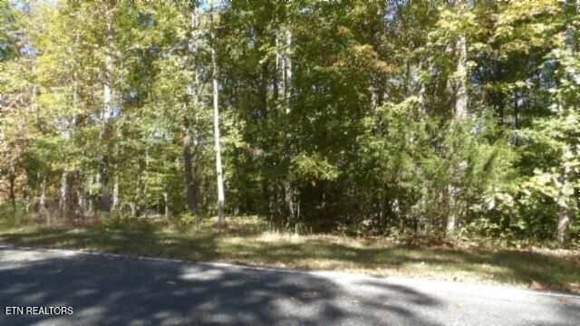 Lot 2 Inland Court, Sparta, TN 38583