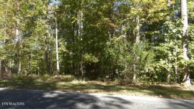 Lot 2 Inland Court, Sparta, TN 38583