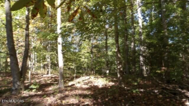 Lot 2 Inland Court, Sparta, TN 38583