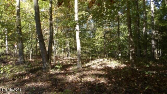 Lot 2 Inland Court, Sparta, TN 38583