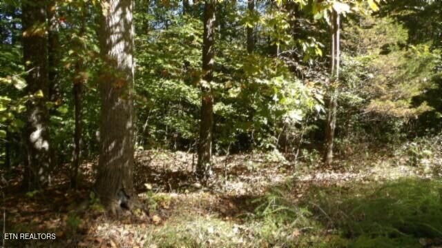 Lot 2 Inland Court, Sparta, TN 38583
