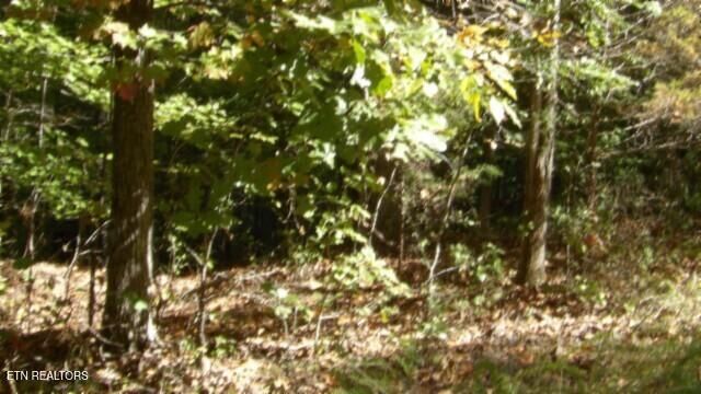 Lot 2 Inland Court, Sparta, TN 38583