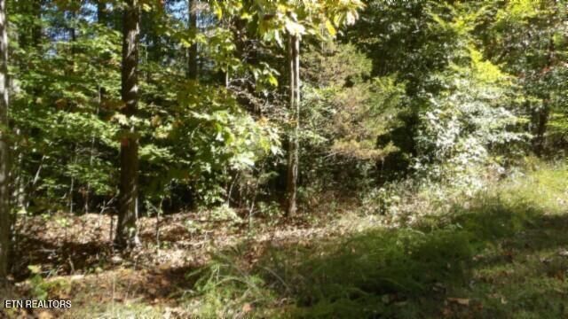 Lot 2 Inland Court, Sparta, TN 38583