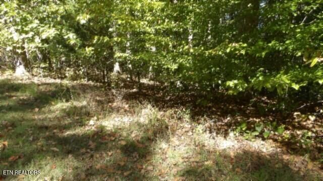 Lot 2 Inland Court, Sparta, TN 38583