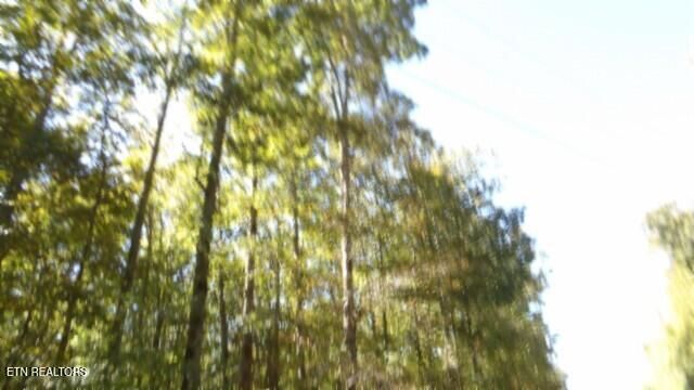 Lot 2 Inland Court, Sparta, TN 38583