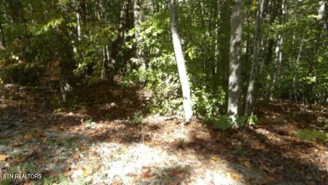 Lot 2 Inland Court, Sparta, TN 38583