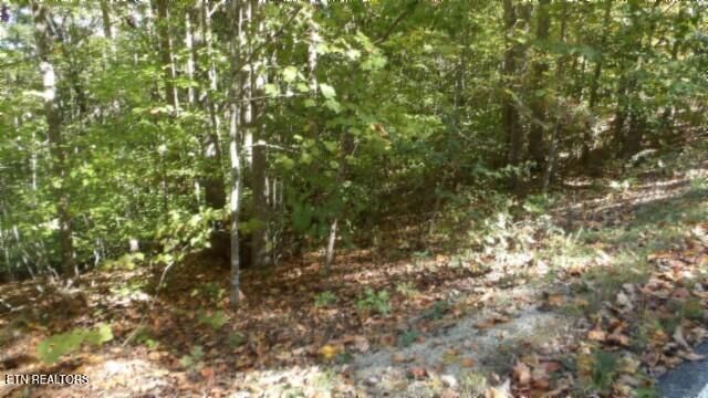 Lot 2 Inland Court, Sparta, TN 38583