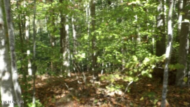 Lot 2 Inland Court, Sparta, TN 38583