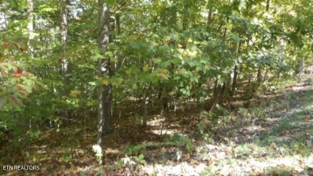 Lot 2 Inland Court, Sparta, TN 38583