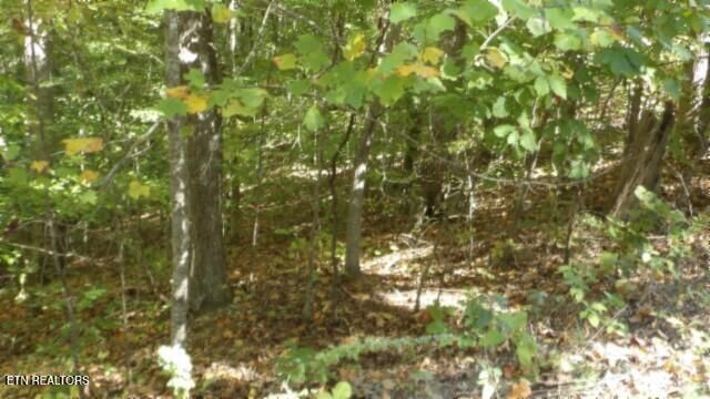 Lot 2 Inland Court, Sparta, TN 38583
