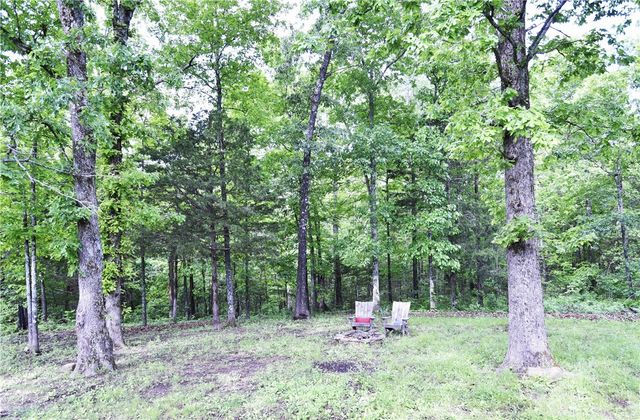 348 Gravy Road, St Joe, AR 72675