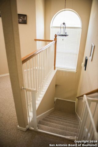 133 Wright Cove, Cibolo, TX 78108