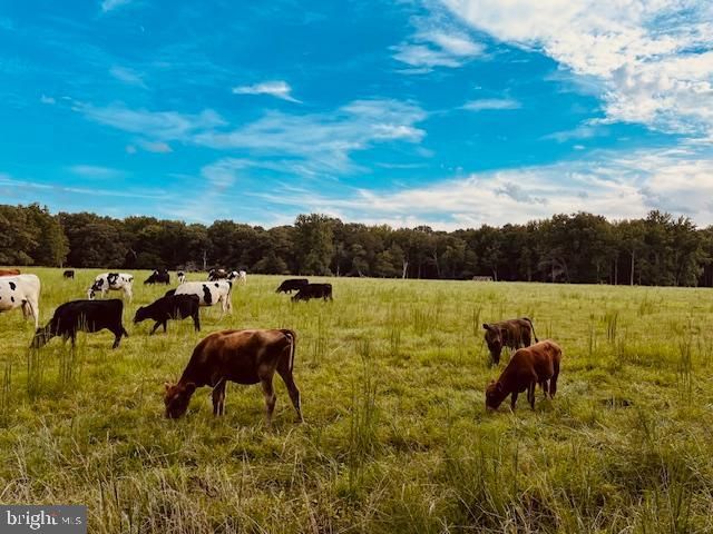 1290 OLD LANDING RD, Accokeek, MD 20607