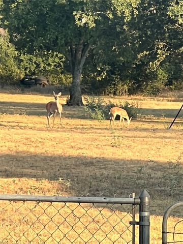 310 Centeridge Lane, Graham, TX 76450