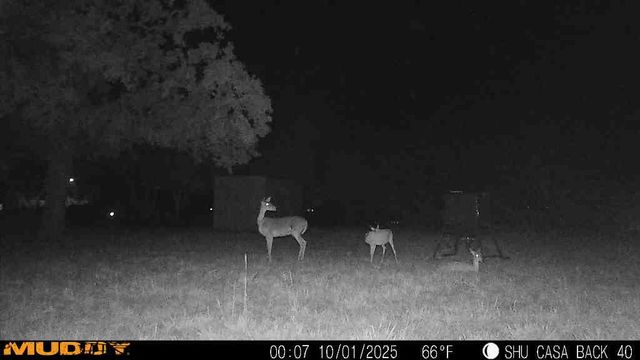 310 Centeridge Lane, Graham, TX 76450