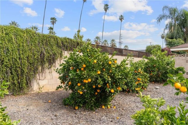 534 Roosevelt Road N, Redlands, CA 92374