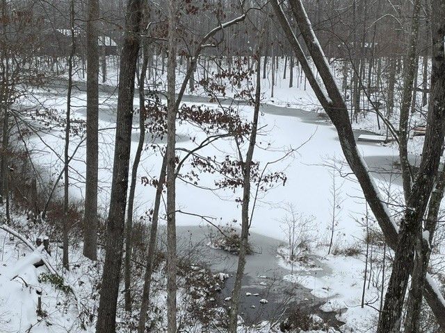 40 Trussell Creek Trl, Monteagle, TN 37356