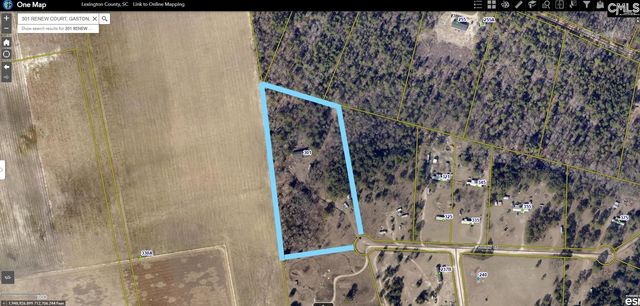 301 Renew Court Road, Gaston, SC 29053